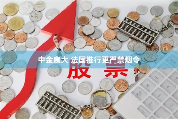 中金宸大 法国推行更严禁烟令