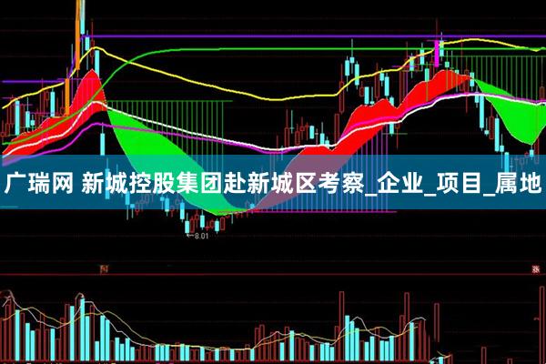 广瑞网 新城控股集团赴新城区考察_企业_项目_属地