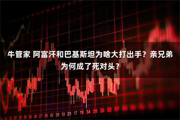 牛管家 阿富汗和巴基斯坦为啥大打出手？亲兄弟为何成了死对头？